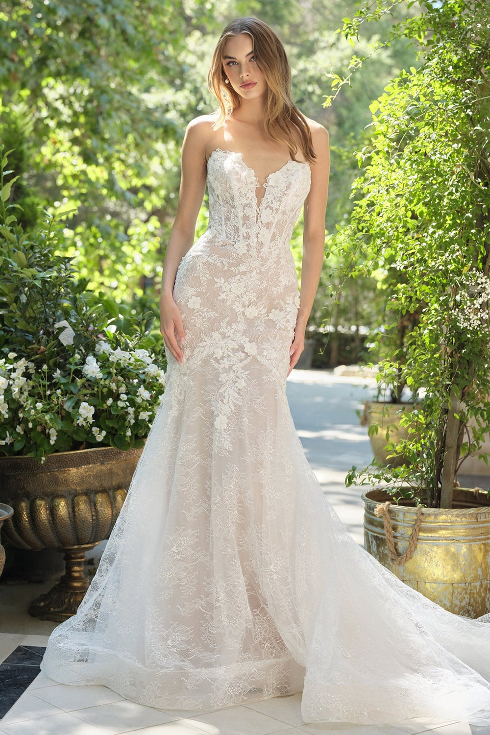 WL072 - Andrea Leo Couture